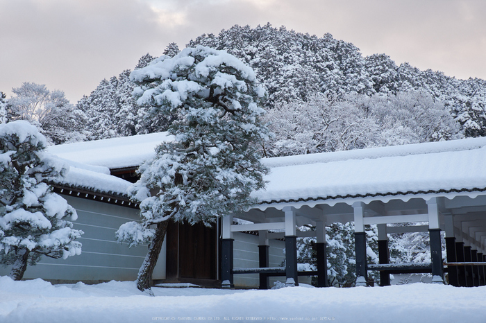 京都雪景色 南禅寺 2015 ／ FUJIFILM X-T1 with FUJINON XF10-24mm F4